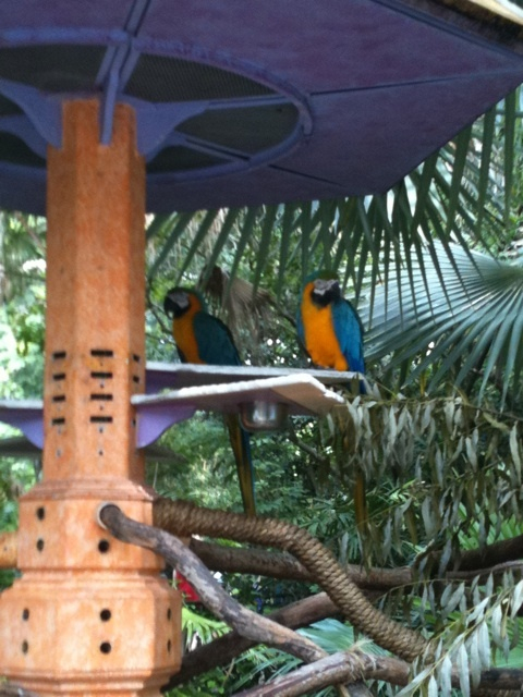 photo:04