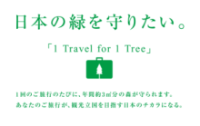 “自然を愛する”エコなブログ