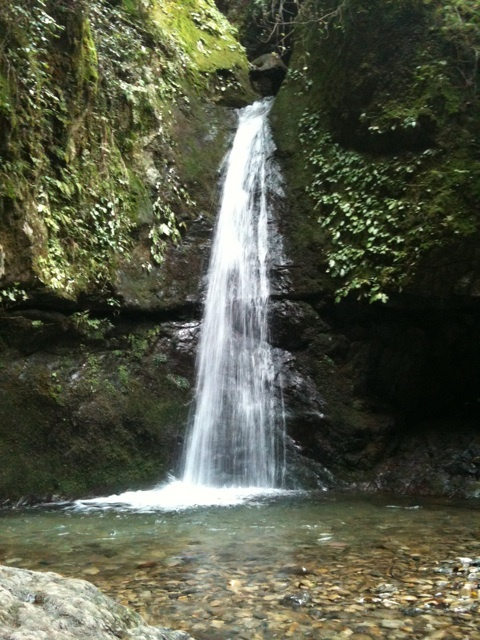 photo:06
