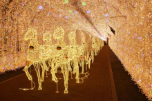 “自然を愛する”エコなブログ