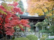 “自然を愛する”エコなブログ-最乗寺