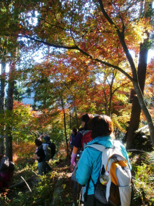 “自然を愛する”エコなブログ-明神ヶ岳