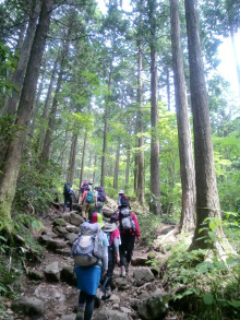 “自然を愛する”エコなブログ-明神ヶ岳