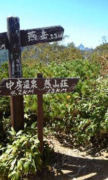“自然を愛する”エコなブログ