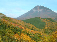 遊ＶＩＶＡ 北海道