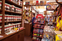 H.I.S.シドニー支店～みなと街ブログ～