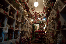 H.I.S.シドニー支店～みなと街ブログ～