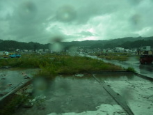 “自然を愛する”エコなブログ