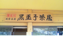“自然を愛する”エコなブログ