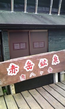 “自然を愛する”エコなブログ