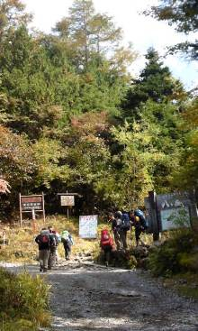 “自然を愛する”エコなブログ