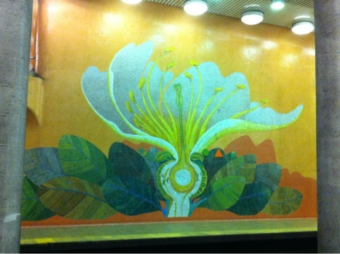 photo:06