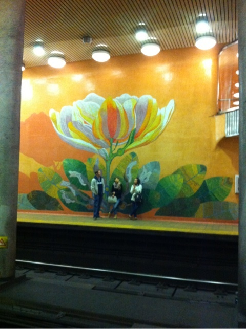 photo:05
