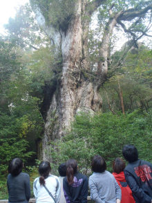 “自然を愛する”エコなブログ