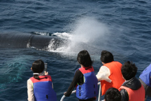 沖縄 美ら海ブログ