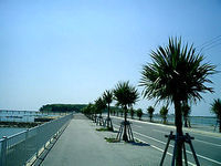 沖縄 美ら海ブログ