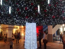 H.I.S.シドニー支店～みなと街ブログ～