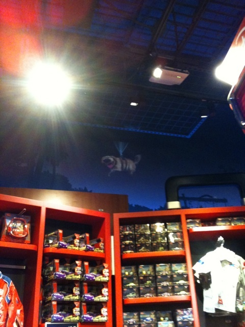 photo:05