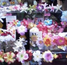 H.I.S. コナ支店・マウイ支店☆LeaLeaブログ  from  スピリチュアルアイランド