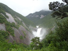 “自然を愛する”エコなブログ-屋久島千尋の滝