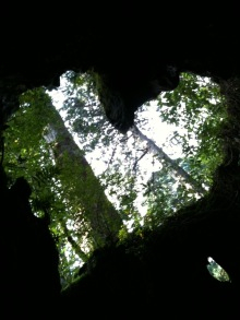 “自然を愛する”エコなブログ