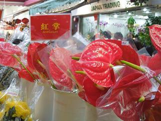 H.I.S香港支店の日記