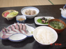 “自然を愛する”エコなブログ