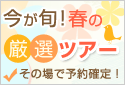 【オプショナルツアー】今が旬！春の厳選ツアー