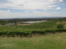 H.I.S.シドニー支店～みなと街ブログ～