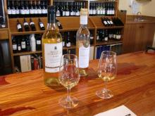 H.I.S.シドニー支店～みなと街ブログ～