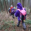 “自然を愛する”エコなブログ