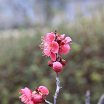 “自然を愛する”エコなブログ
