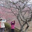 “自然を愛する”エコなブログ