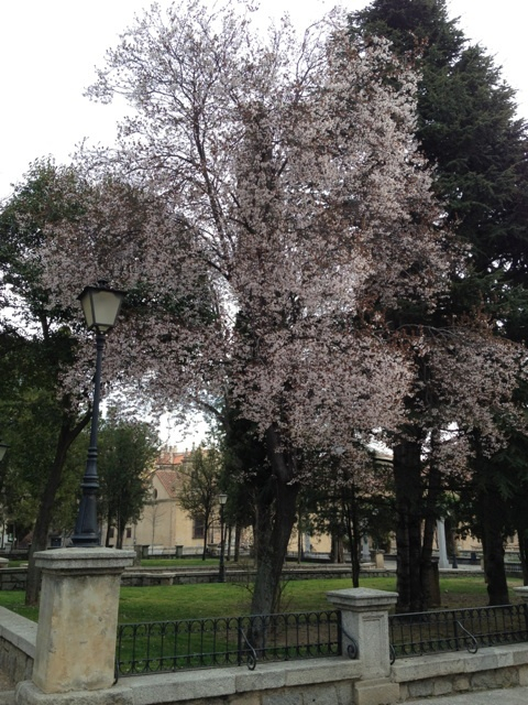 photo:10