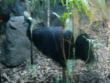 H.I.S.シドニー支店～みなと街ブログ～