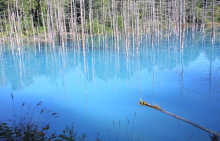 遊ＶＩＶＡ 北海道