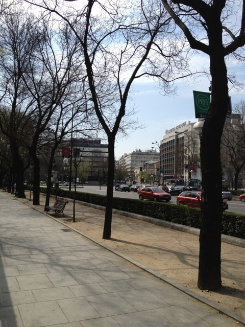 photo:01