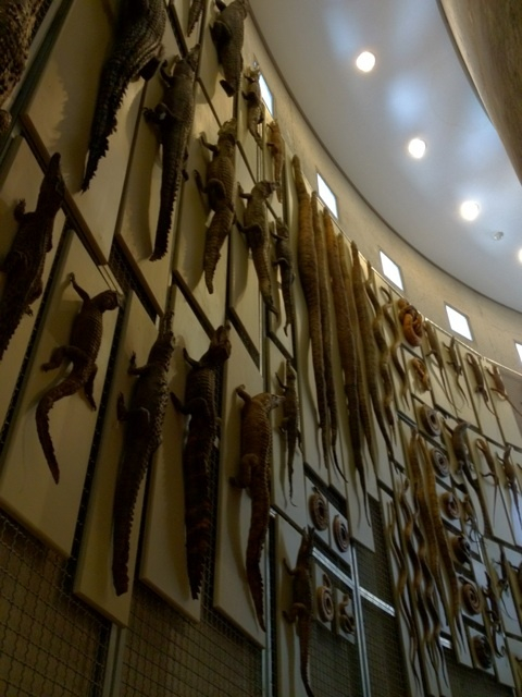photo:12