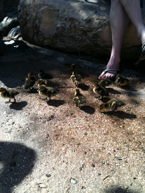 photo:01