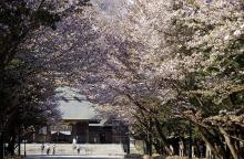 遊ＶＩＶＡ 北海道