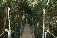 H.I.S.メルボルン支店のページ ☆Southern Cross City☆