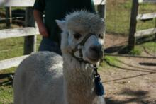 H.I.S.メルボルン支店のページ ☆Southern Cross City☆