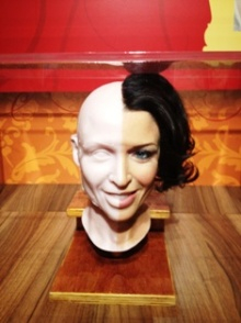 H.I.S.シドニー支店～みなと街ブログ～