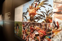 H.I.S.シドニー支店～みなと街ブログ～