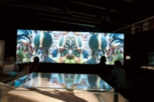 H.I.S.シドニー支店～みなと街ブログ～