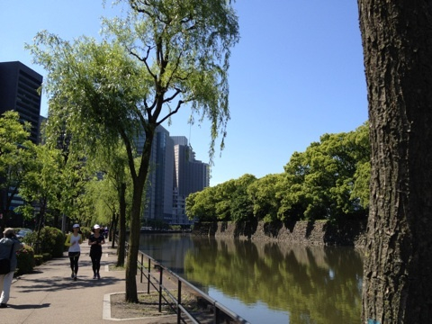 photo:01