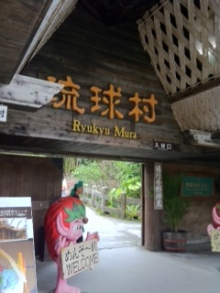沖縄 美ら海ブログ