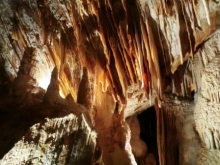 H.I.S.シドニー支店～みなと街ブログ～