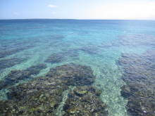 沖縄 美ら海ブログ