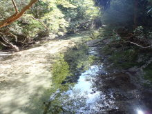 “自然を愛する”エコなブログ-屋久島縦走